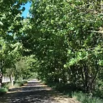 Atico Rosita En Camino De Santiago シンソ・デ・リミア