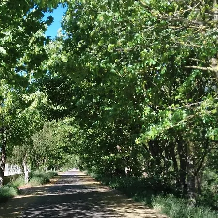 ático Rosita En Camino De Santiago Xinzo de Limia