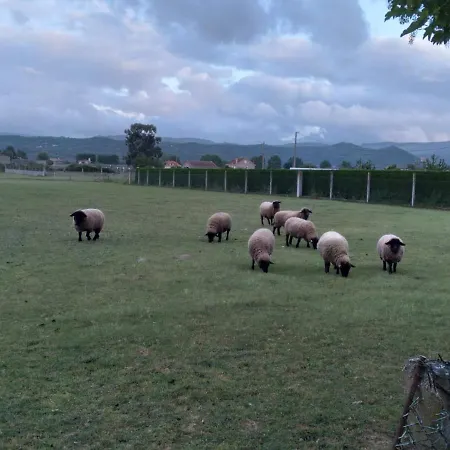 Atico Rosita En Camino De Santiago