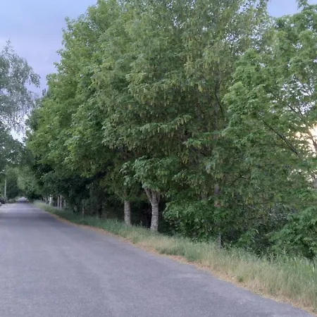 Διαμέρισμα Atico Rosita En Camino De Santiago *
