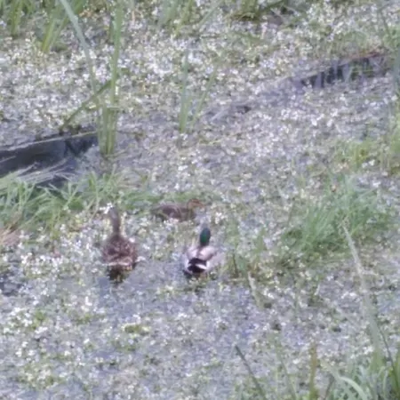 Atico Rosita En Camino De Santiago Διαμέρισμα