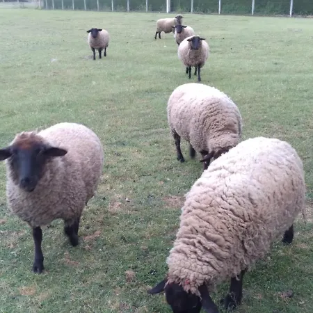 Διαμέρισμα Atico Rosita En Camino De Santiago Xinzo de Limia